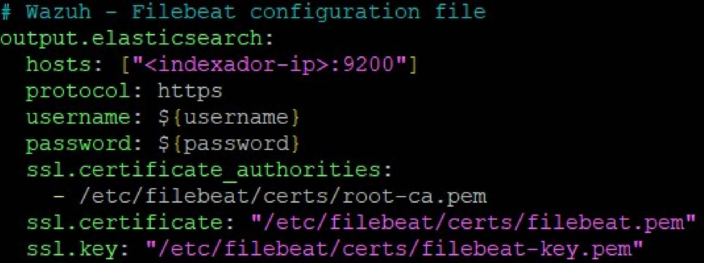 Filebeat configuration connecting the server to the indexer over HTTPS