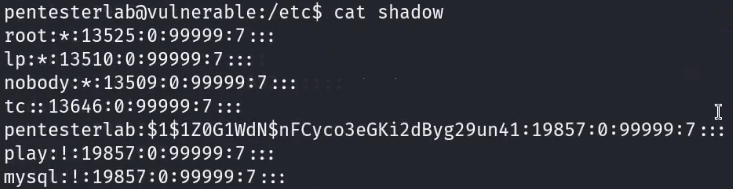 shadow contents